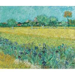 Vincent van Gogh - View of Arles with Irises in the Foreground
