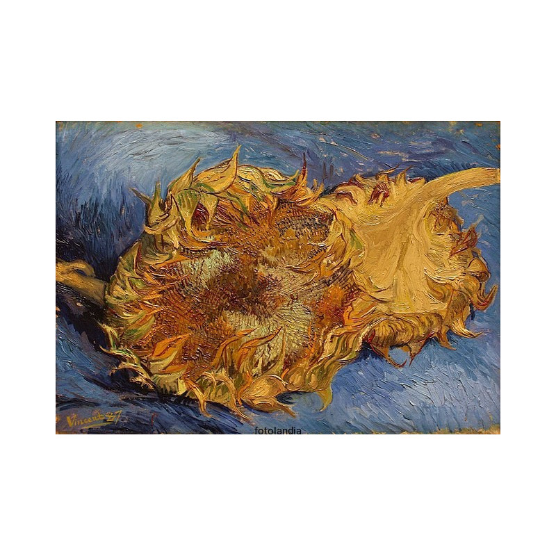 Vincent van Gogh - Sunflowers Gone to Seed