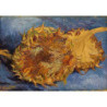 Vincent van Gogh - Sunflowers Gone to Seed