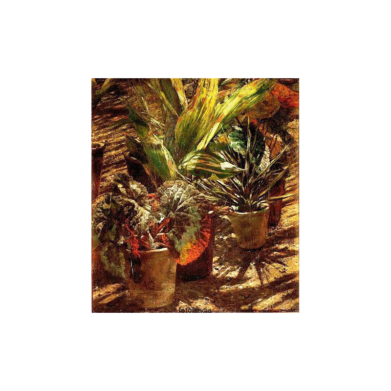 Aleksander Gierymski - Begonie