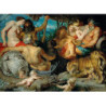 Peter Paul Rubens - The Four Continents