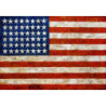 Jasper Johns - Flag, Flaga