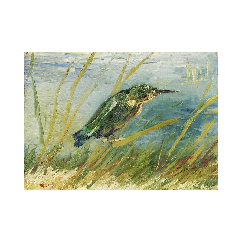 Vincent van Gogh - The Kingfisher