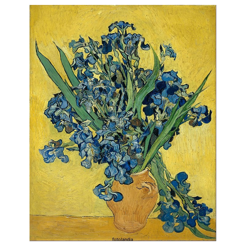 Vincent van Gogh - Still Life with Irises